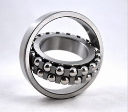 美女免费视频免费网观看 欧美一区二区自慰亚洲